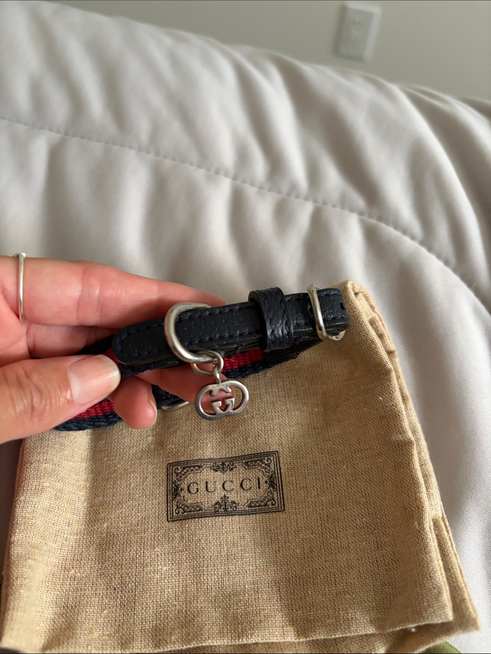 Gucci extra small dog collar